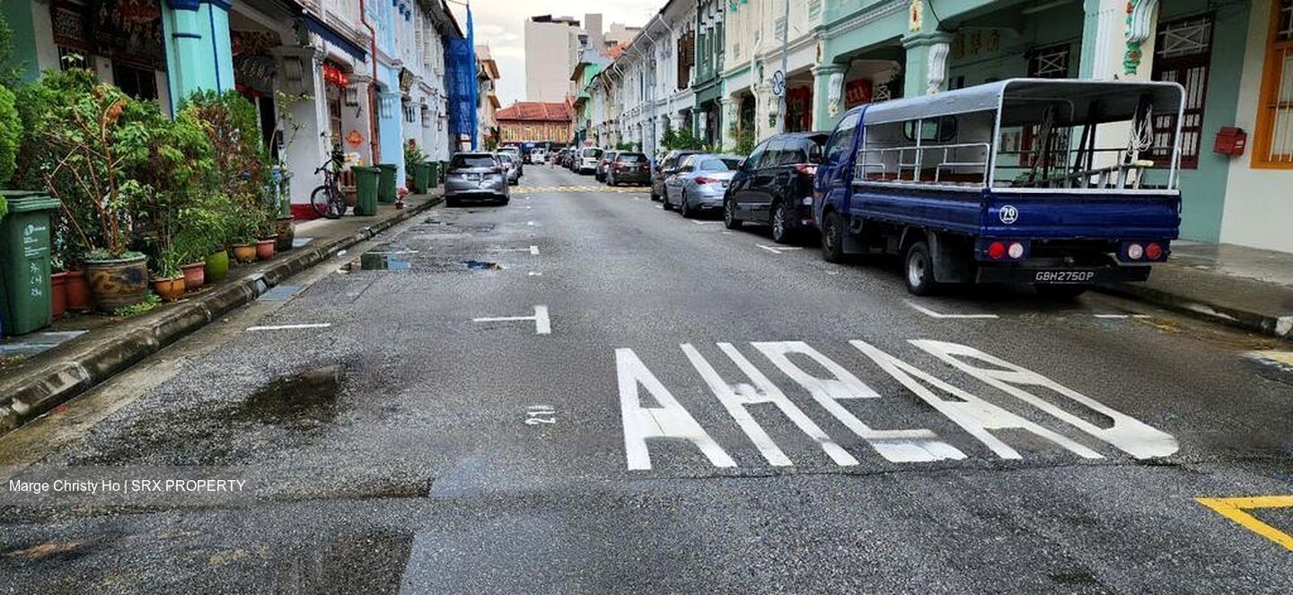 Geylang Conservation Area (D14), Detached #474371621
